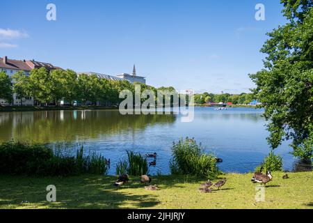 Kiel, Allemagne, juin 2022 calme céleste en début de matinée dans le parc Kleiner Kiel dans le Ratsdienergarten Banque D'Images