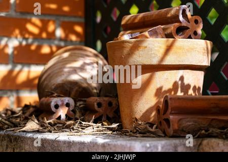 Pots de plantes abandonnés sur des feuilles sèches d'hiver sous la lumière du soleil de printemps. Arrière-plan. Texture. Banque D'Images