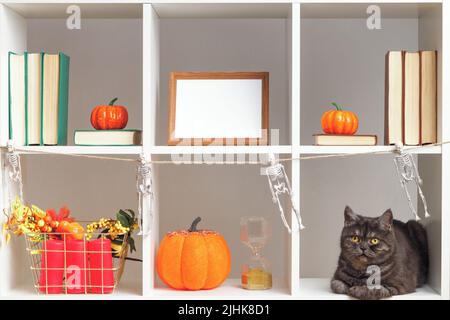 Décoration intérieure pour Halloween. Étagères blanches cadres photo de chat noir livres citrouilles. Banque D'Images