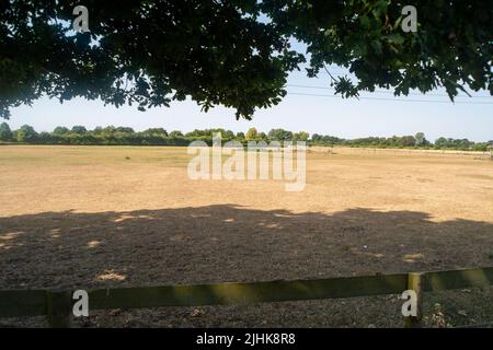 Dorney, Buckinghamshire, Royaume-Uni. 19th juillet 2022. Les températures à Dorney, dans le Buckinghamshire, ont dépassé 40 degrés cet après-midi alors que le Royaume-Uni a enregistré la journée la plus chaude jamais enregistrée. Crédit : Maureen McLean/Alay Live News Banque D'Images