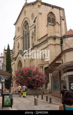 DRAGUIGNAN (Var, France) : Eglise Saint Michel Banque D'Images