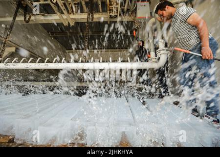 Bagdad, Irak. 19th juillet 2022. Les travailleurs préparent des blocs de glace dans une usine de glace locale au cours d'une vague de chaleur en Irak. L'Irak connaît une vague de chaleur avec des températures qui atteignent plus de 45 degrés Celsius. Credit: Ameer Al-Mohammadawi/dpa/Alamy Live News Banque D'Images