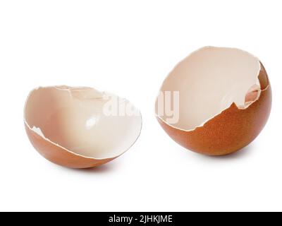 L'Eggshell est cassé et fissuré. Poulet Eggshell brun isolé sur fond blanc Banque D'Images