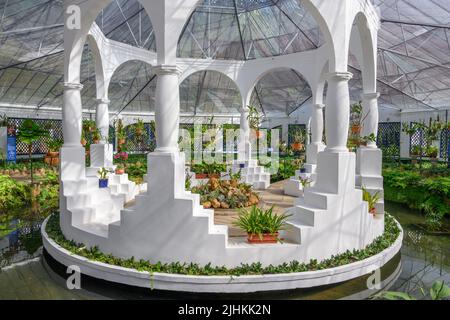 La Maison Orchidée (Orquidário), Jardim Botannico do Rio de Janeiro (jardin botanique de Rio de Janeiro), Rio de Janeiro, Brésil Banque D'Images