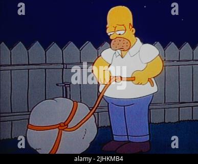 HOMER SIMPSON, Les Simpsons, 1989 Banque D'Images