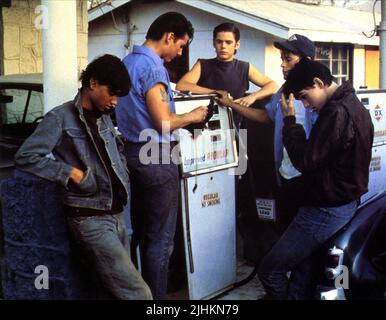 RALPH MACCHIO, TOM CRUISE, C. Thomas Howell, ROB LOWE, Matt Dillon, l'extérieur, 1983 Banque D'Images