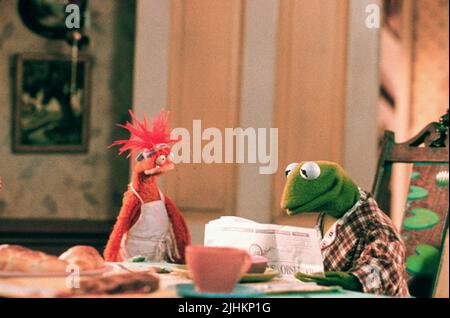 PEPE, Kermit la grenouille, MUPPETS FROM SPACE, 1999 Banque D'Images