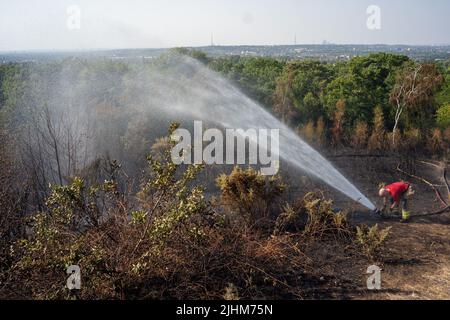 Une série de feux de forêt éclate à travers l'Angleterre alors que la vague de chaleur intense atteint des niveaux records. Les pompiers ont été appelés juste après midi pour assister à un incendie dans les bois de Shirley Hills Woods, l'un des plus grands parcs de Londres à Croydon. Bien que personne n'ait été blessé, il a exigé quatre pompiers et plus de 25 pompiers pour maîtriser l'incendie. Banque D'Images