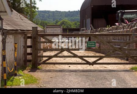 Ferme Llwyn-YR-eos, bâtiment classé 2. Musée St Fagans, Cardiff. Été 2022. Juillet Banque D'Images