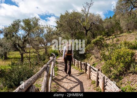 Randonnée pédestre du célèbre sentier de la nature Mergoli Vignanotica, péninsule de Gargano dans le sud de l'Italie Banque D'Images