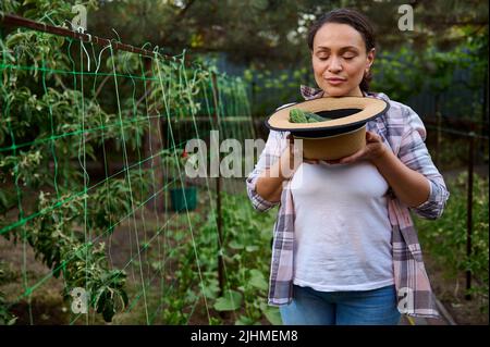 Belle femme jardinier amateur, horticulteur, odorant des concombres mûrs fraîchement récoltés dans un chapeau de paille tout en travaillant dans une ferme écologique. Croissance Banque D'Images
