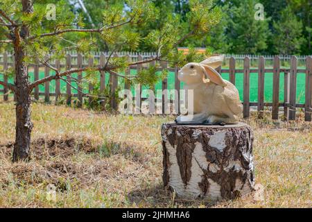 un lapin blanc se trouve sur une souche dans la forêt Banque D'Images