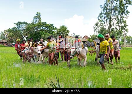 17 juillet 2022, Canning, Bengale occidental, Inde: Pour la bonne santé du taureau et la nouvelle préparation du sol 'moi-chara' a été joué dans la partie rurale de la partie sud du Bengale occidental, plus précisément près de la région de Canning. À Herovanga, c'est l'année 29th pour ce jeu et après deux années de verrouillage ce jeu a été poursuivi. Les participants viennent avec leur propre taureau à partir de 20-60 km en marchant un jour avant la date de l'événement. Ils se reposent pour une seule journée pour la préparation. Avec le début de la mousson et avant la préparation du sol, cet événement est organisé sur le paddy field. Selon les règles du jeu, il y a un sta Banque D'Images