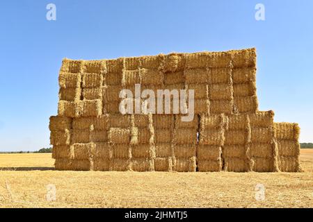 Un champ de blé après récolte dans la vallée des Seulles près de Creully, en France Banque D'Images