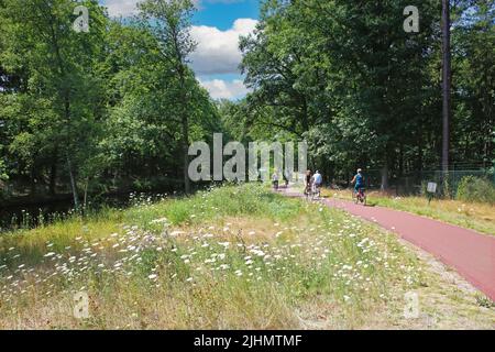 Eindhoven, pays-Bas - 17 juillet. 2022: Magnifique sentier cyclable idyllique au bord de la rivière rouge le long du canal d'eau, forêt verte, groupe de cyclistes Banque D'Images