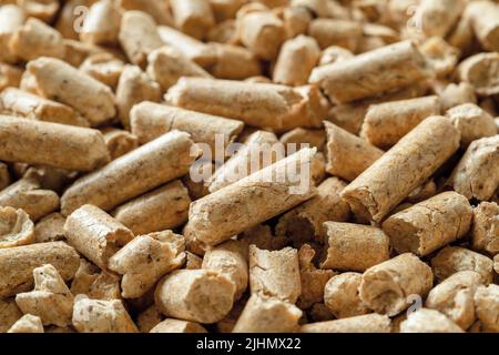 Granulés de bois macro arrière-plan. Texture des granules de sciure comprimée. Énergie alternative pour le chauffage domestique. Biocarburant écologique à partir de sciure compactée. Banque D'Images