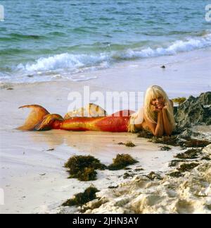 DARYL HANNAH, SPLASH, 1984 Banque D'Images