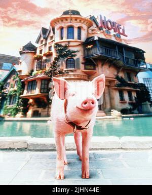 BABE BABE : PIG , DANS LA VILLE, 1998 Banque D'Images