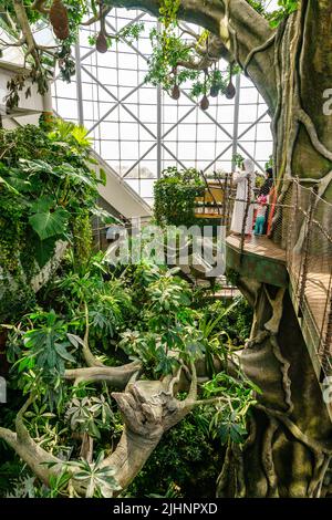 Dubaï, Émirats Arabes Unis, 8 octobre 2016 : la planète verte Dubaï - environnement intérieur de forêt tropicale avec oiseaux, animaux et plantes tropicaux Banque D'Images