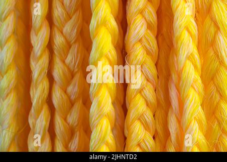 Cheveux tressés Extensions cheveux synthétique Braid couleurs cheveux. Cheveux jaunes pour styliste. Salon de beauté Banque D'Images