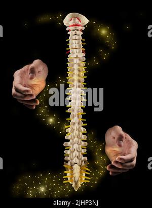 Concept de santé de la colonne vertébrale. Les mains de chiropracteur font des merveilles avec la colonne vertébrale ou l'épine dorsale humaine, la visualisation de l'art de la santé de la colonne vertébrale humaine sur fond noir Banque D'Images