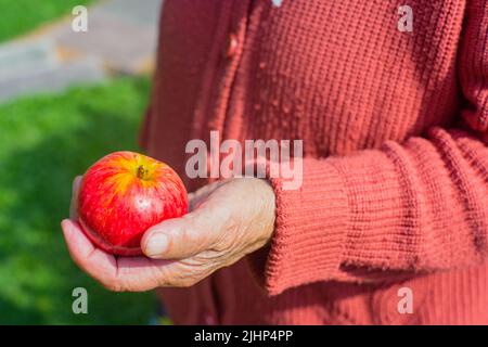 Une main âgée tient une pomme fraîche rouge. La récolte d'aliments sains concept Banque D'Images