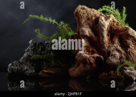 Des branches de genévrier, de la pierre et du vieux bois flotté sur fond de ciel sombre et nuageux. Banque D'Images