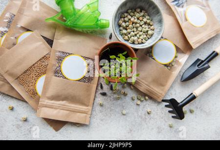 Graines de Microgreen dans des sacs en papier et équipement de semis de microgreen sur la table. Une alimentation saine. Banque D'Images