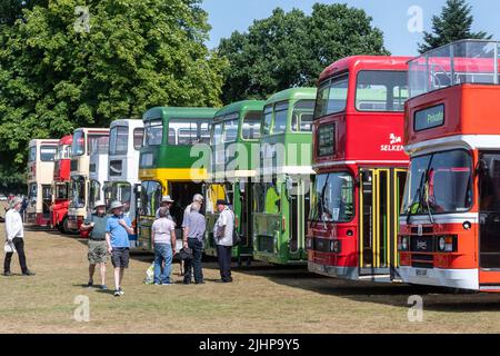 Alton bus Rally and Running Day en juillet 2022, rangée d'autobus lors de l'événement de transport d'été à Anstey Park, Alton, Hampshire, Angleterre, Royaume-Uni Banque D'Images