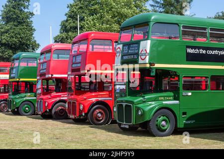 Alton bus Rally and Running Day en juillet 2022, rangée d'autobus d'époque lors de l'événement de transport d'été à Anstey Park, Alton, Hampshire, Angleterre, Royaume-Uni Banque D'Images