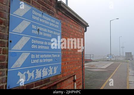 Contrôles et contrôles portuaires aux écluses de Latchford, MSCC, Peel ports, Manchester Ship Canal, pas d'atterrissage d'animaux, afin de réduire la transmission de la maladie Banque D'Images