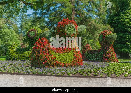 Sculptures de fleurs dans l'île aux fleurs du lac de Constance. Île Mainau, Bade-Wurtemberg, Konstanz, Allemagne. Banque D'Images
