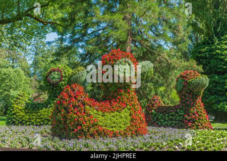 Sculptures de fleurs dans l'île aux fleurs du lac de Constance. Île Mainau, Bade-Wurtemberg, Konstanz, Allemagne. Banque D'Images