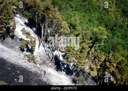 Maddaloni, Italie. 20th juillet 2022. Végétation détruite et arbres brûlés par le grand feu qui a frappé la montagne de San Michele dans la ville de Maddaloni. Les incendies en Campanie, causés par la sécheresse et la hausse des températures, augmentent de plus en plus. Maddaloni, Italie, 20 juillet 2022. (Photo par Vincenzo Izzo/Sipa USA) crédit: SIPA USA/Alay Live News Banque D'Images