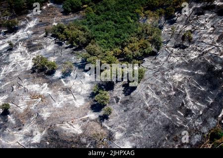 Maddaloni, Italie. 20th juillet 2022. Végétation détruite et arbres brûlés par le grand feu qui a frappé la montagne de San Michele dans la ville de Maddaloni. Les incendies en Campanie, causés par la sécheresse et la hausse des températures, augmentent de plus en plus. Maddaloni, Italie, 20 juillet 2022. (Photo par Vincenzo Izzo/Sipa USA) crédit: SIPA USA/Alay Live News Banque D'Images