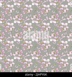 Les fleurs de pomme sont roses sur fond gris. Illustration aquarelle. Motif sans couture. Pour le tissu, les textiles, le papier peint, les couvertures de livre, la raclage Banque D'Images