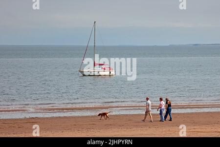 Portobello bord de mer, Édimbourg, Écosse, Royaume-Uni. 20th juillet 2022. Soleil brumeux juste autour de midi avec une température de 22 degrés centigrade pour ceux qui visitent les rives du Firth of Forth. Trois adultes marchent le long de la rive tout en marchant leur chien. Credit: Scottishcreative/alamy Live news. Banque D'Images