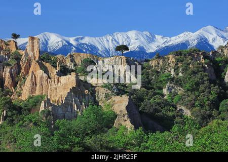 France, Pyrénées-Orientales (66) Ille-sur-Têt, site géologique des orgues pliocènes, le massif du Canigou enneigé / France, Pyrénées-Orientales Ille-sur-Têt, site géologique des orgues Pliocène, massif enneigé du Canigou / Banque D'Images