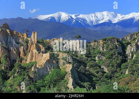 France, Pyrénées-Orientales (66) Ille-sur-Têt, site géologique des orgues pliocènes, le massif du Canigou enneigé / France, Pyrénées-Orientales Ille-sur-Têt, site géologique des orgues Pliocène, massif enneigé du Canigou / Banque D'Images