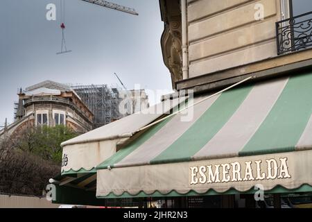 France, Ile de France, Paris 4th arrondissement, rue du Cloître notre-Dame, travaux de rénovation à notre-Dame un an après l'incendie dans la soirée du 15 avril 2019, lambeau du café Esmeralda, Banque D'Images