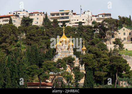 Vue sur Marie Madeleine de la Cathédrale Orthodoxe Russe Gethsémané couvent entre les arbres sur la pente du mont des Oliviers. Jérusalem, Israël. Banque D'Images