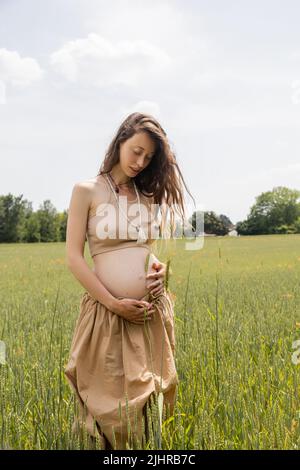 Femme enceinte tenant l'épillet près du ventre dans le champ d'été Banque D'Images