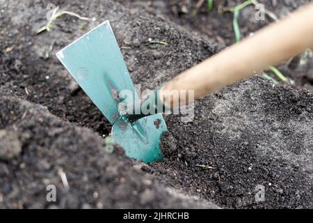 Détail d'une houe creusant le sol d'un potager Banque D'Images