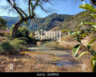 Un ruisseau sale peu profond qui coule à travers des plantes vertes et des arbres dans la vallée Banque D'Images