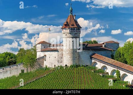 La fortification circulaire médiévale de Munot dans le centre de Schaffhausen sur le Haut Rhin en Suisse avec vignobles Banque D'Images