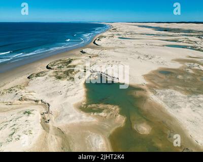 Un chameau dans une belle immense dunes de sable avec un ciel bleu à l'horizon à Birubi Beach, en Australie Banque D'Images