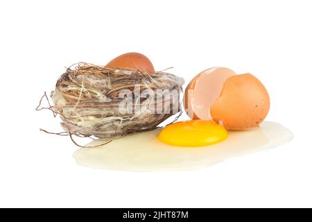 oeuf à l'intérieur du nid d'oiseau. oeuf cassé isolé sur fond blanc. Banque D'Images