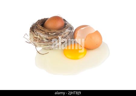 oeuf à l'intérieur du nid d'oiseau. oeuf cassé isolé sur fond blanc. Banque D'Images