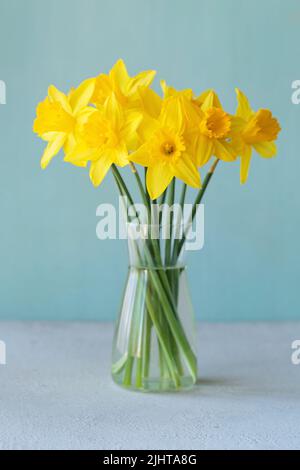 Fleurs jaunes jonquilles debout dans un vase transparent contre un mur bleu Banque D'Images