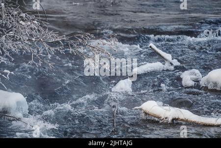 Petite rivière froide d'hiver, accent sur les brindilles et les buissons recouverts de neige Banque D'Images